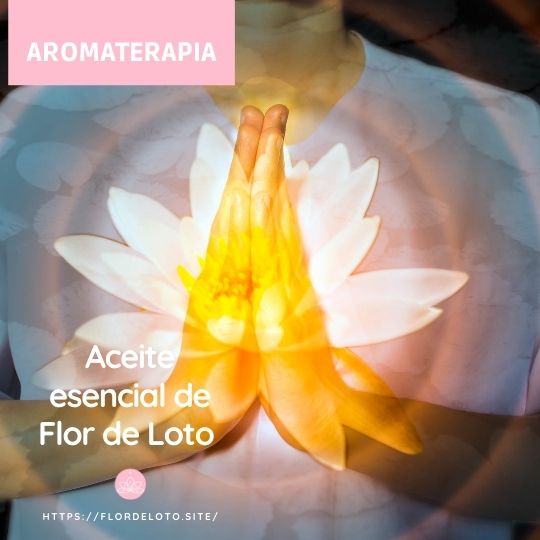 El aroma de la flor de loto es ideal para meditar