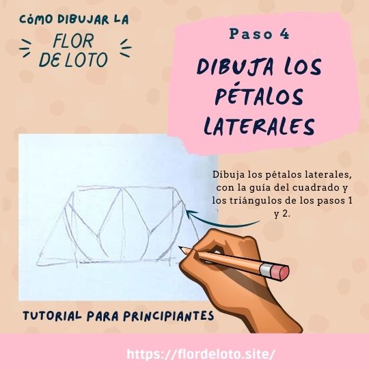 Dibujo de la flor de loto en el tutorial paso 4