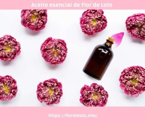 Aceite esencial de Flor de Loto en Aromaterapia