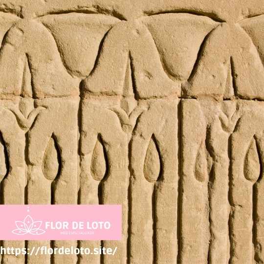 Representación de Loto Egipcio o Nymphaea Caerulea en relieves del antiguo Egipto