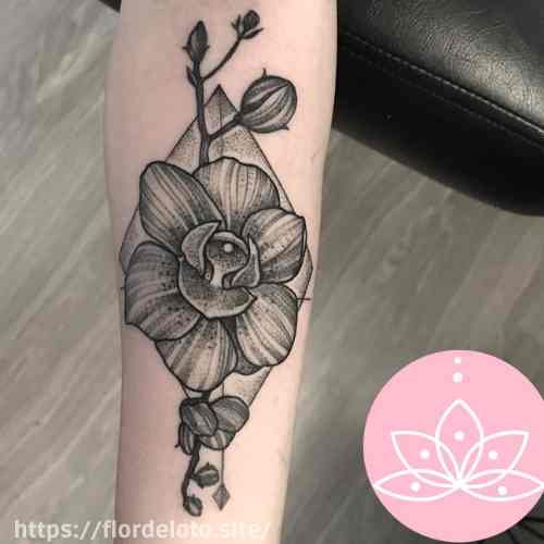Significado de la orquídea en tatuaje. Orquídea tatuaje - Descubre su significado