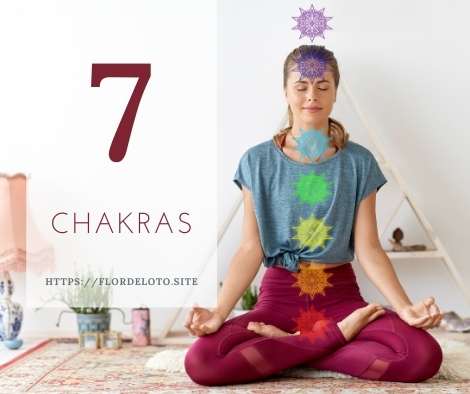 Los 7 chakras representados como flor de loto de diferentes colores.