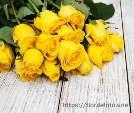 Rosas amarillas naturales