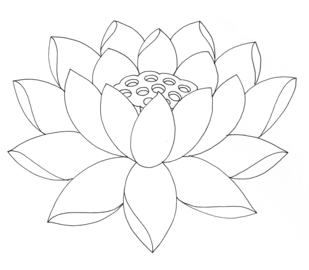 Dibujo de flor de loto para pintar