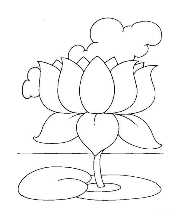 dibujo de flor de loto bello