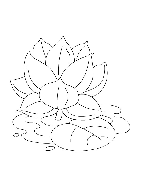 ilustración de flor de loto