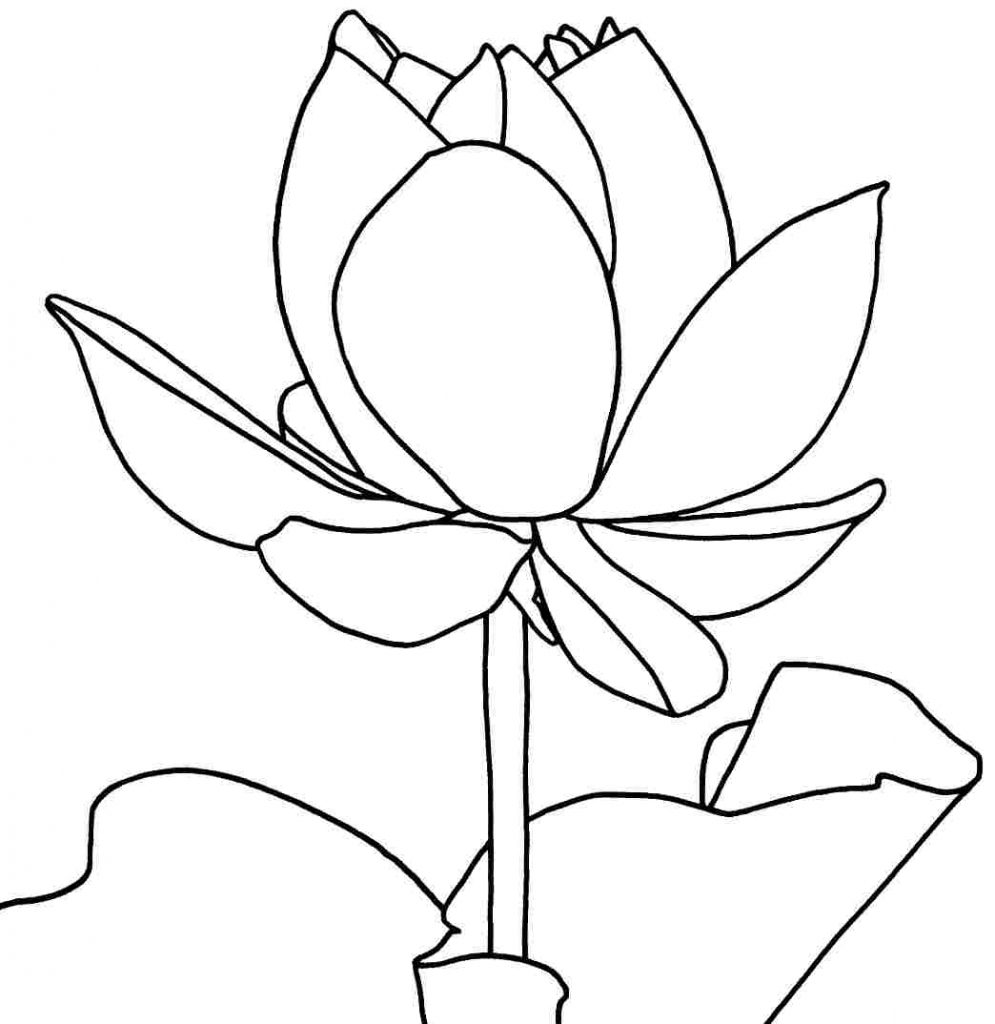 Dibujo de flor de loto para colorear y distenderse