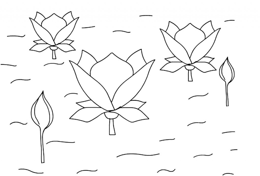 Dibujo de flor de loto para colorear para niños