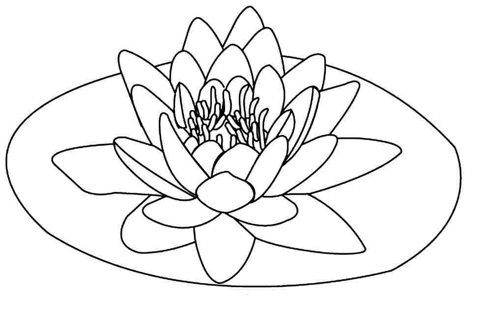 dibujo de flor de loto para colorear para niños
