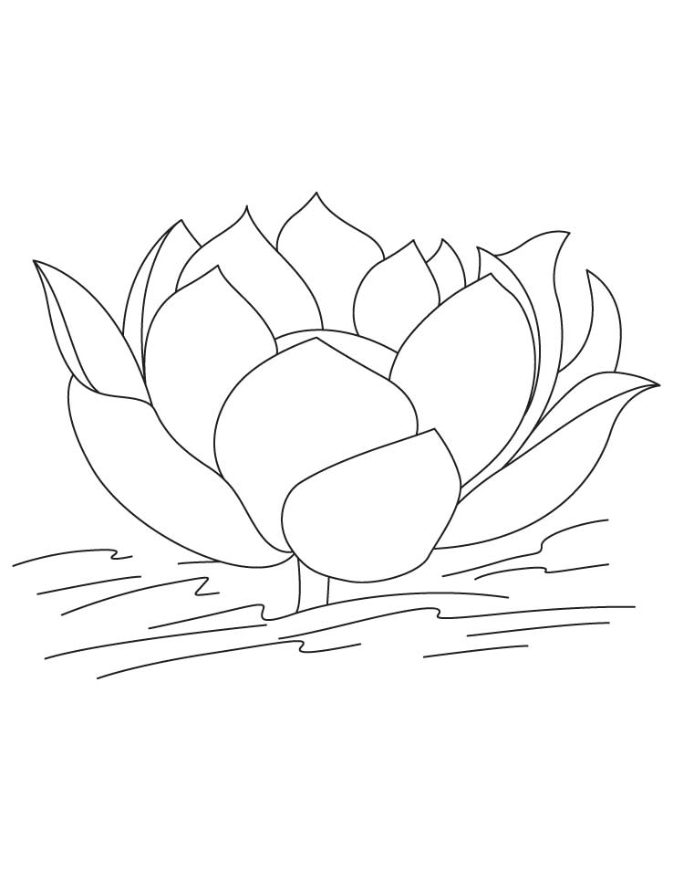 Dibujo de flor de loto para colorear