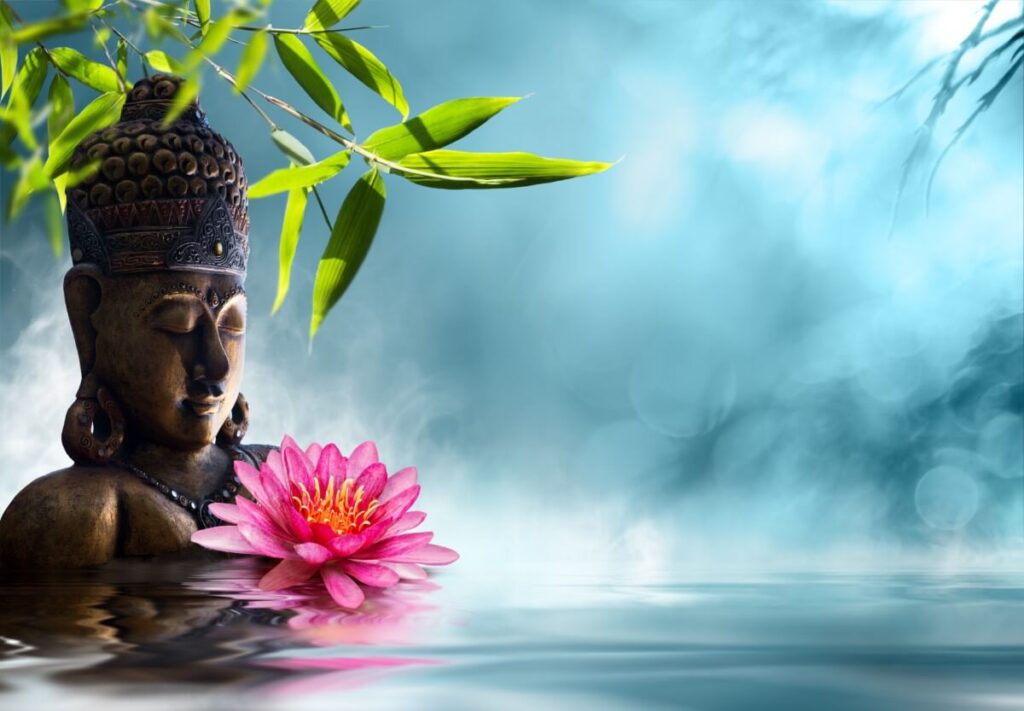 flor de loto en el budismo