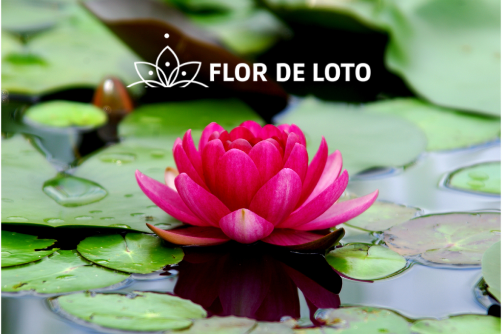 Flor de lotus mitología