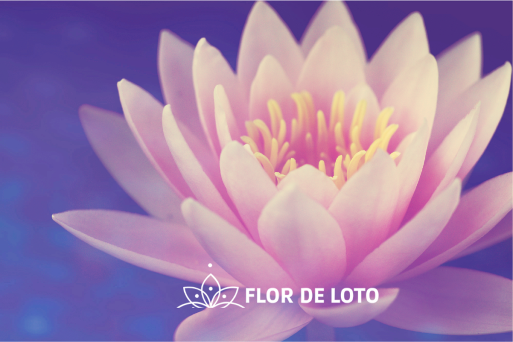 flor de loto en la mitología griega