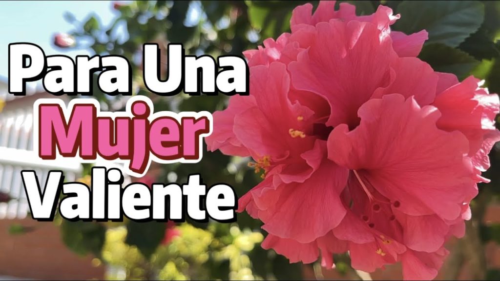 Para ti hermosa mujer