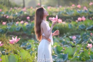 Que significa la flor de loto en una mujer